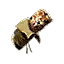Stalker's Ration single-use consumable icon from Guild Wars 1