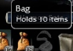 Guild Wars 1 inventory screenshot showing a Bag with 10 item slots