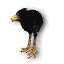 Miniature Black Moa Chick with black feathers and yellow legs in Guild Wars 1