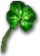 Four-Leaf Clover x250