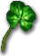 Four-Leaf Clover x250 (Pre-Searing)